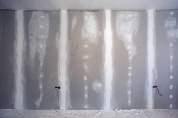 Best Drywall Installation  in Lynn Haven, FL